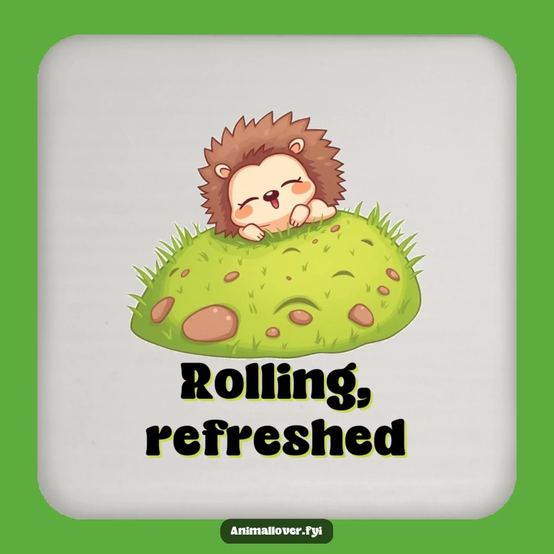 Funny Hedgehog Rolling Coaster Set: Protect Surfaces with Carefree Charm